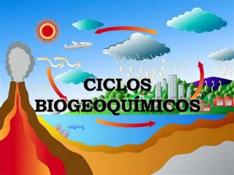 Ciclos Biogeoquimicos Apresentar Ppt Download Gratuito