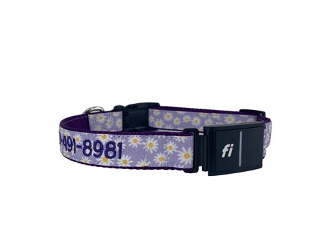 Personalized Fi Dog Collar | Series 3 Fi Compatible Dog Collar – Duke & Fox