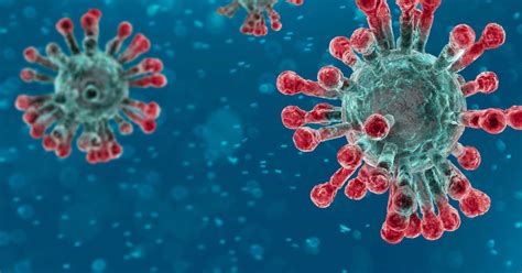 Biodiversity and preparedness for pandemics 