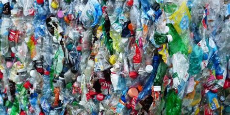 Comment Les Bouteilles En Plastique Affectent Elles L Environnement