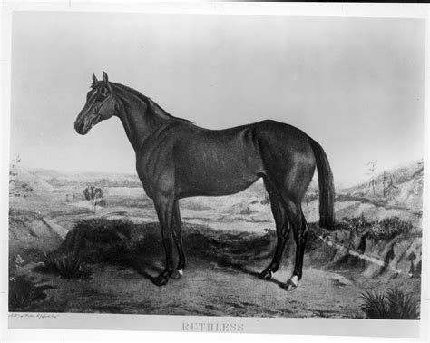 Eighteen Fun Facts About the 2025 Belmont Stakes | America's Best Racing