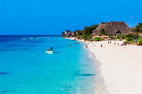 Tanzania Wildlife Safari and Zanzibar Beach Experience - One More ...