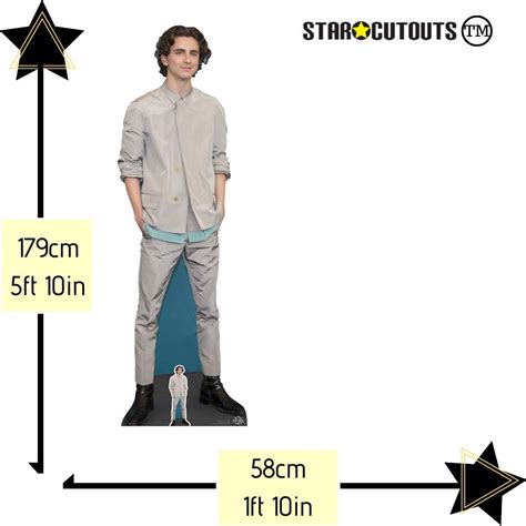 Timothee Chalamet Grey Outfit Lifesize Cardboard Cutout Off