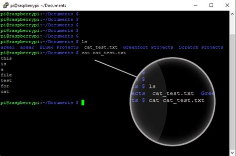 20 Handy Raspberry Pi Terminal Commands for Beginners