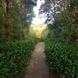 Mt Lees Reserve Bush Walk Manawat Whanganui New Zealand Reviews