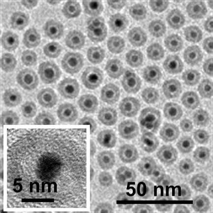 Gold Iron Oxide Core HollowShell Nanoparticles Shevchenko 2008