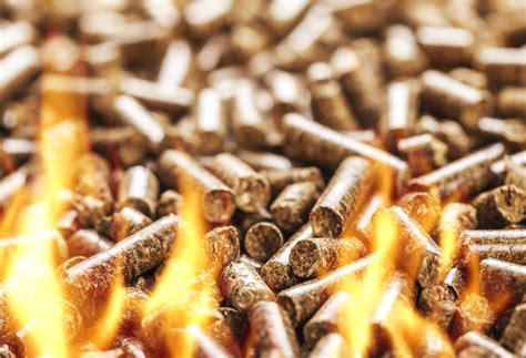 Biomass Fuel Continues To Rise In Popularity Blog