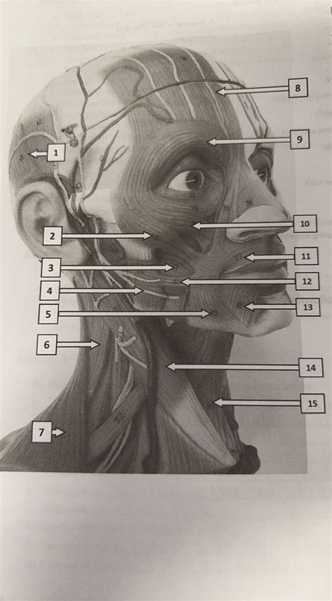 Lab 8 Pt 1 Diagram Quizlet