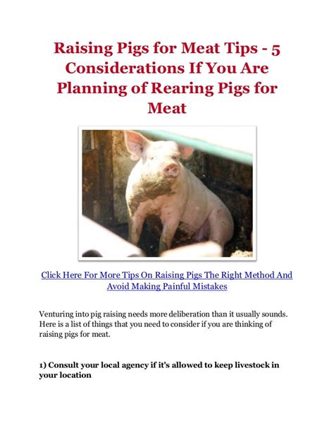 Raising Pigs for Meat Tips - 5 Considerations If You Are Planning of