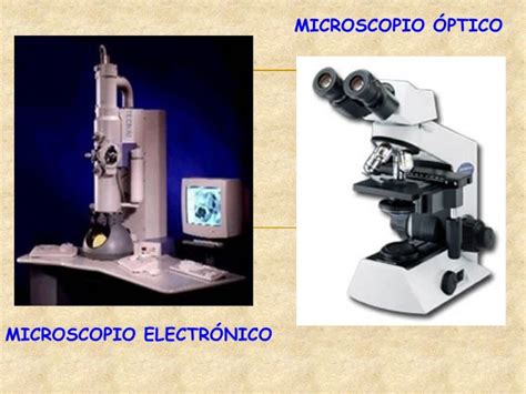 Diferencias Entre Microscopio Ptico Y Electr Nico Soluci N