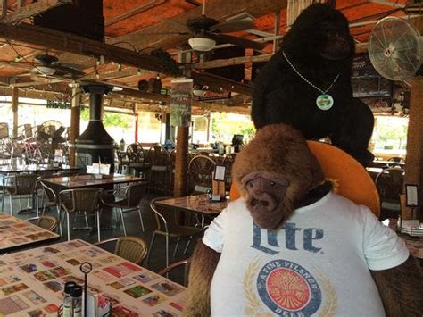 Monkey Bar Means Serious Business And Steaks In Cape Coral