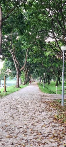 Best Hikes and Trails in Bedok Reservoir Park | AllTrails