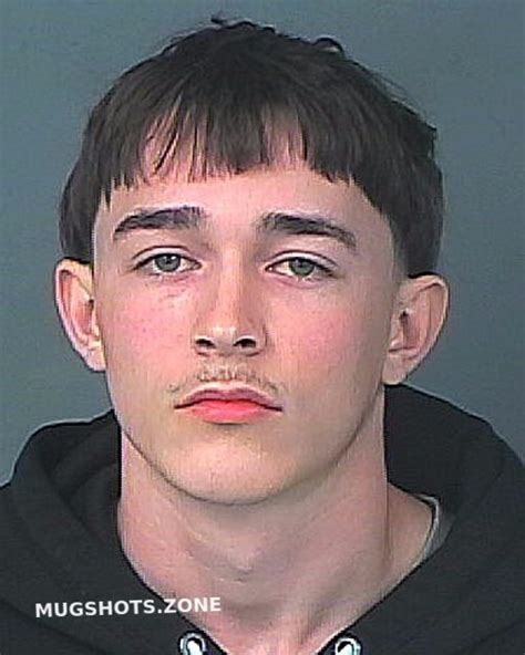 Harris Thomas Hernando County Mugshots Zone