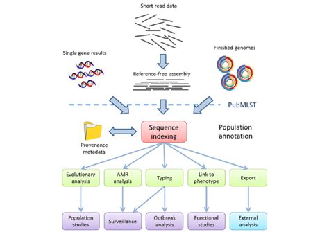 Analysis Pipeline For Short Read Data PubMLST And BIGSdb Its