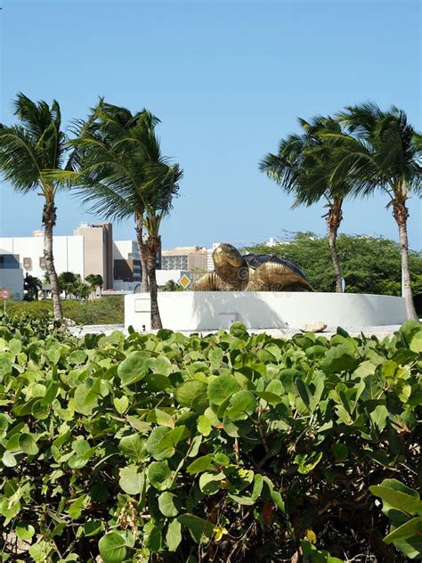 Landmark Sea Turtle Roundabout At Eagle Beach In Aruba Stock Photo