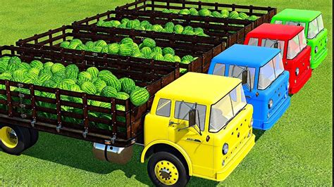 TRANSPORTING WATERMELONS WITH NEW HOLLAND TRACTORS AND FORD TRUCKS