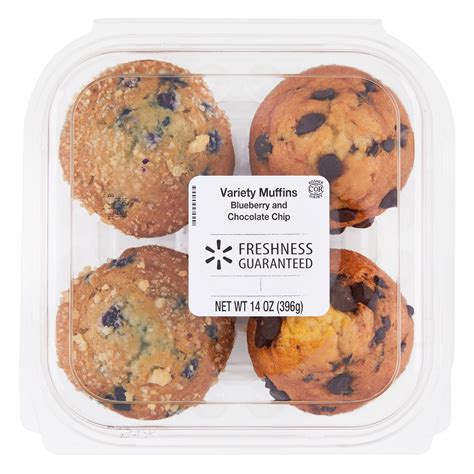 Freshness Guaranteed Blueberry Chocolate Chip Muffin Variety Pack