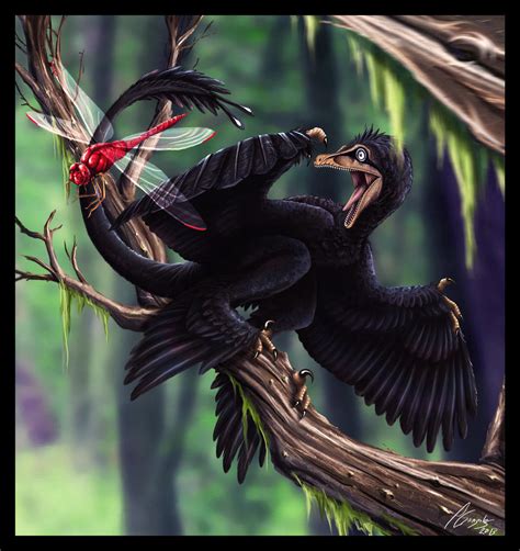 Microraptor By Deetta On Deviantart