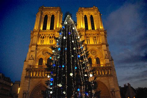 The Christmas Tree of Notre-Dame Cathedral - French Moments