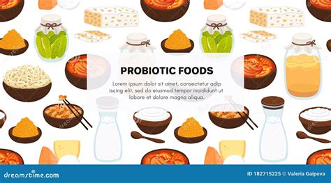 Probiotic Sources Hand Drawn Infographic Poster With Probiotic Foods