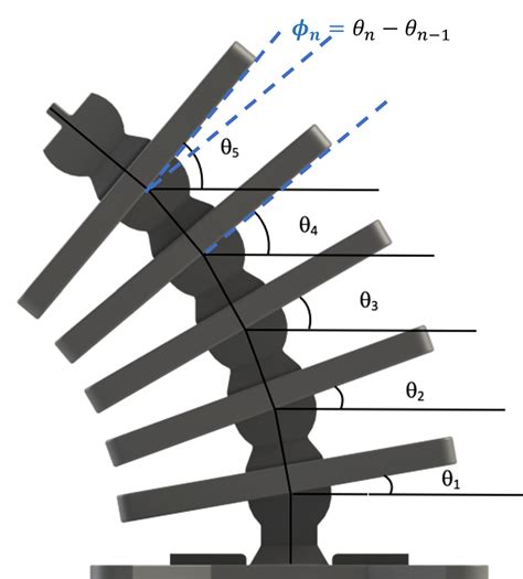 The Angles θ N Are The Degrees Of Freedom Of The Musculoskeletal System