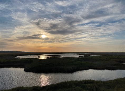 Penny S Hot Birding And Life Fabulous Day At Salthouse Kelling Cley