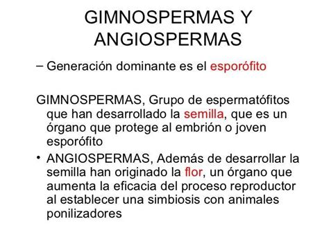 3 Diferencias Entre Plantas Angioespermas Y Gimnospermas Brainly Lat