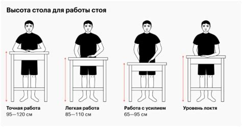 Как полезнее работать: стоя или сидя | Статья в журнале «Молодой ученый»