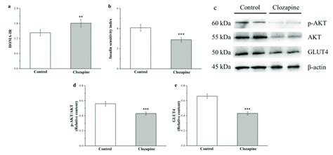 A Homeostatic Model Assessment For Insulin Resistance Homa Ir And