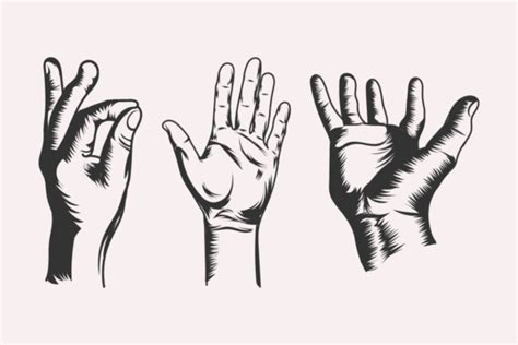 Hand Vector Art Set Illustration Graphic by minhajmia · Creative Fabrica