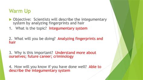 Warm Up Objective Scientists Will Describe The Integumentary System By