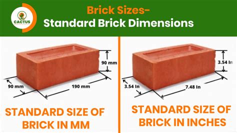 Us Standard Brick Dimensions Comparing Different Brick Sizes Coast