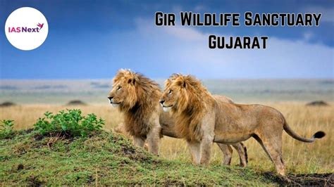 Gir Wildlife Sanctuary Gujarat