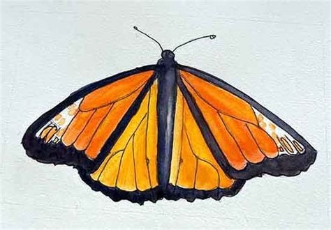 Easy Butterfly Painting Draw And Watercolor A Monarch Step By Step