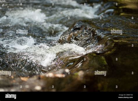 River Teign Dunsford Wood Devon Uk Stock Photo Alamy