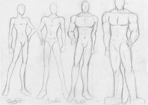 Male Body Type Sketch By Pandadanceproduction On Deviantart Body Type