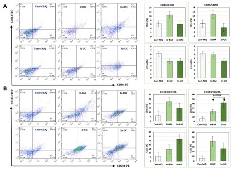 The Comparison Of Alternatively And Classically Activated MQs Surface