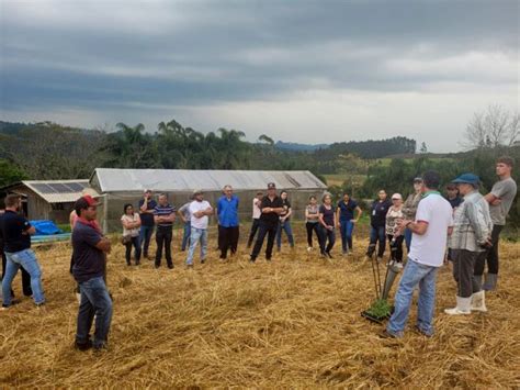 Agricultores De Curitibanos Conhecem Sistema De Plantio Direto De