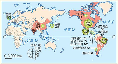 금성출판사 티칭백과