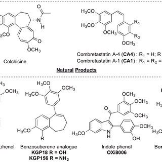 Representative small-molecule inhibitors of tubulin polymerization ...