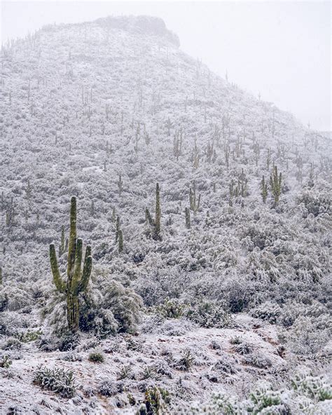 A rare desert snow dusting. Four peaks, Arizona [2048x2560][OC] : r/snow