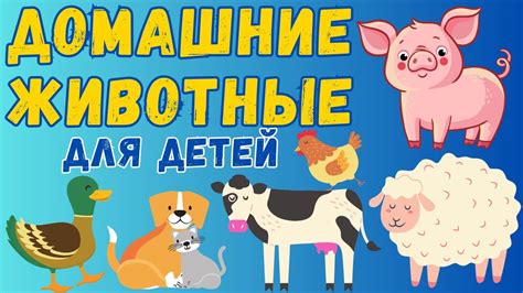 ЗВУКИ ДОМАШНИХ ЖИВОТНЫХ \ РАЗВИВАЮЩЕЕ ВИДЕО ДЛЯ ДЕТЕЙ \ ЗВУКИ ЖИВОТНЫХ ...