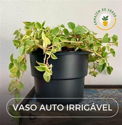 30 Vasos Auto irrigável Armazém do Verde 20cm Cor Preta Preço de