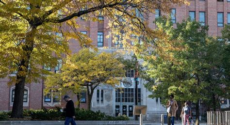 TOP-ED Program | College of Medicine | University of Illinois College ...