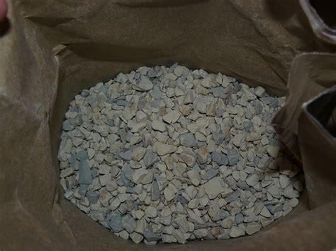 Какой наполнитель для кошек лучше выбрать - обзор вариантов