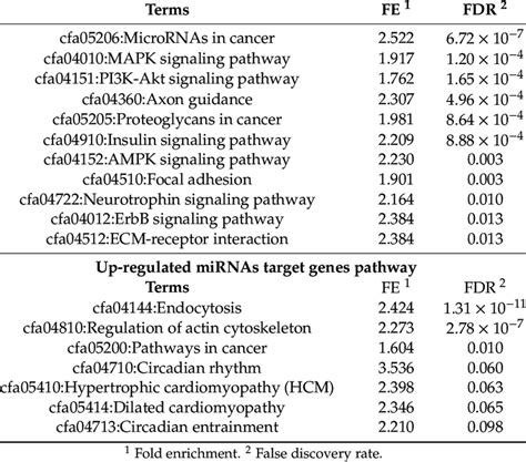 Kegg Pathway Analysis Of The Target Genes Of The Differentially