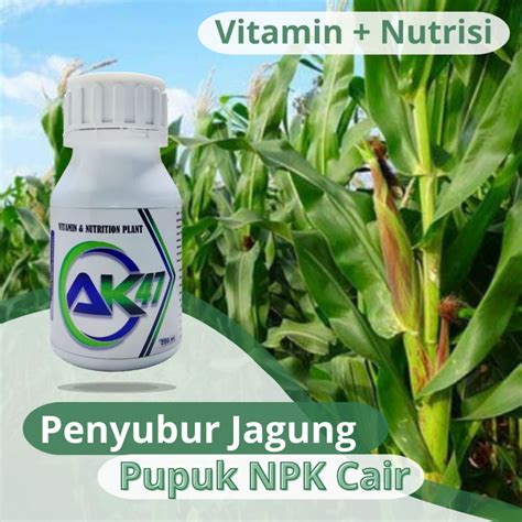 Jual Penyubur Jagung Pupuk Daun Jagung Nutrisi Pertumbuhan Jagung