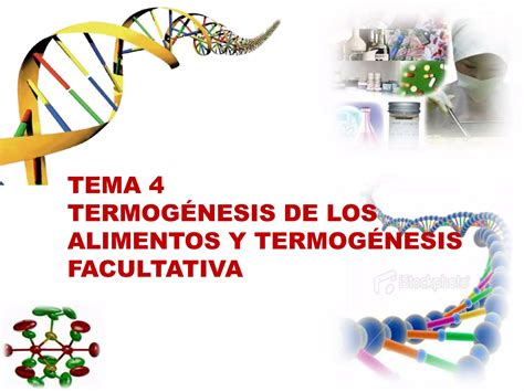 Tema Termog Nesis De Los Alimentos Y Termog Nesis Facultativa Ppt