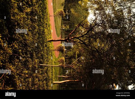 Sunset At Nehru Park Situated In The Chanakyapuri Diplomatic Enclave