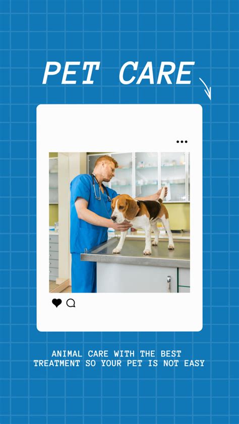 Veterinarian Doctor Examining A Dog In Clinic Online Instagram Story